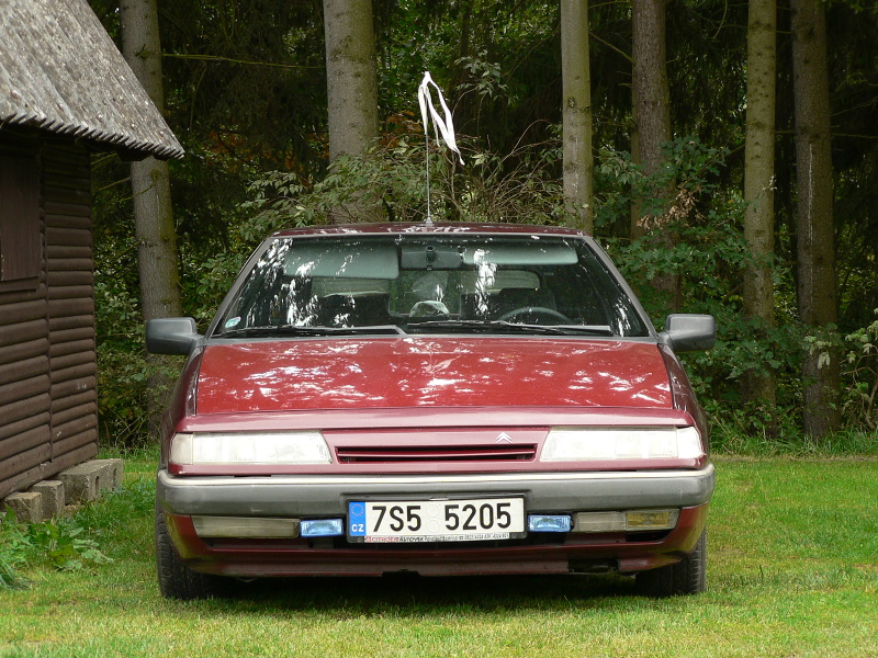 P1350534.jpg
