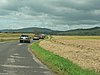 P1350581.jpg